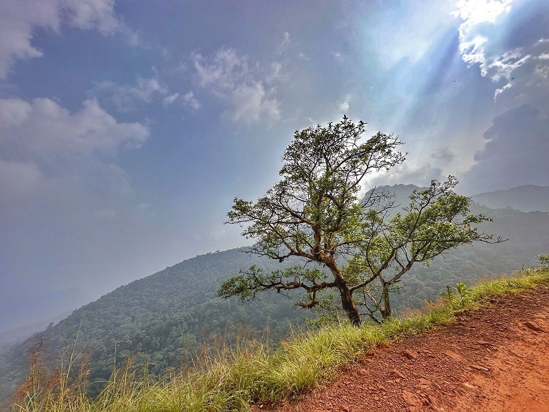 Kodachadri Nature